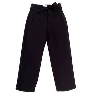 Aritzia Wilfred Tie- Front Pants